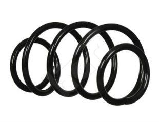 пружина пер. Nissan Qashqai 1.51.6/2.0i/D (07-13) 54010JD02B 477083 фото